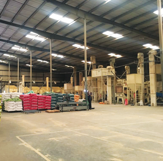 Inside a Venagro popcorn processing facility